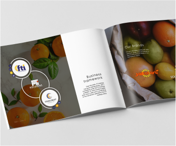 Brochure Design & Illustration